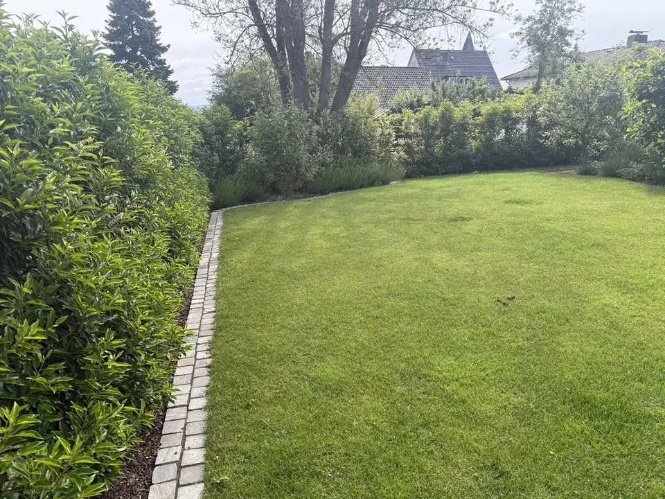 Aufbau einer Natursteinmauer entlang der Grundstücksgrenze