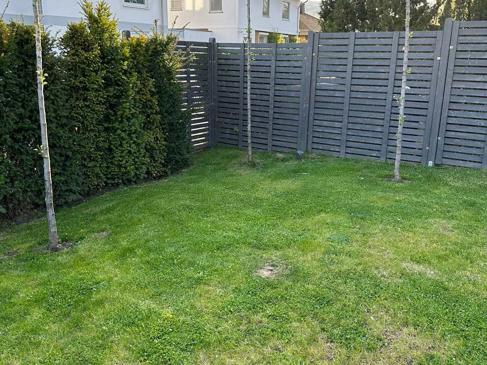 Rasenfläche mit Sichtschutz, Hecken und Neubepflanzung