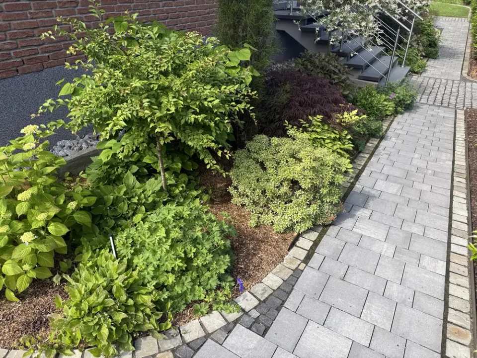 Bauphase der Außenanlage mit eingefassten Pflanzbereichen und Natursteinmauern