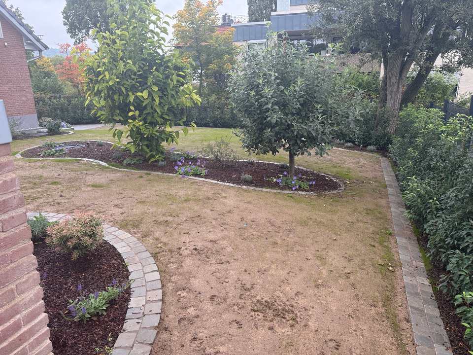 Gesamtansicht der neuen Gartenanlage mit Rasen, Hecken und bepflanzten Beeten