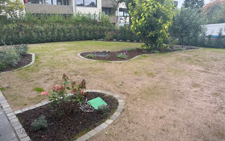 Fertig gestaltete Außenanlage in Kassel mit Rasenfläche, eingefassten Pflanzbeeten und Gehölzen