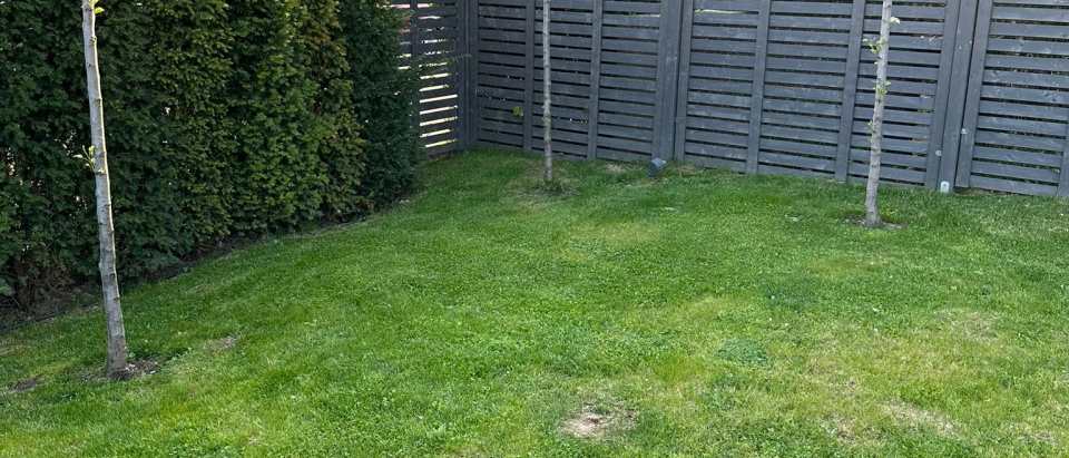 Grüne Rasenfläche mit jungen Bäumen, dichter Hecke und grauem Sichtschutzzaun in einem gepflegten Garten