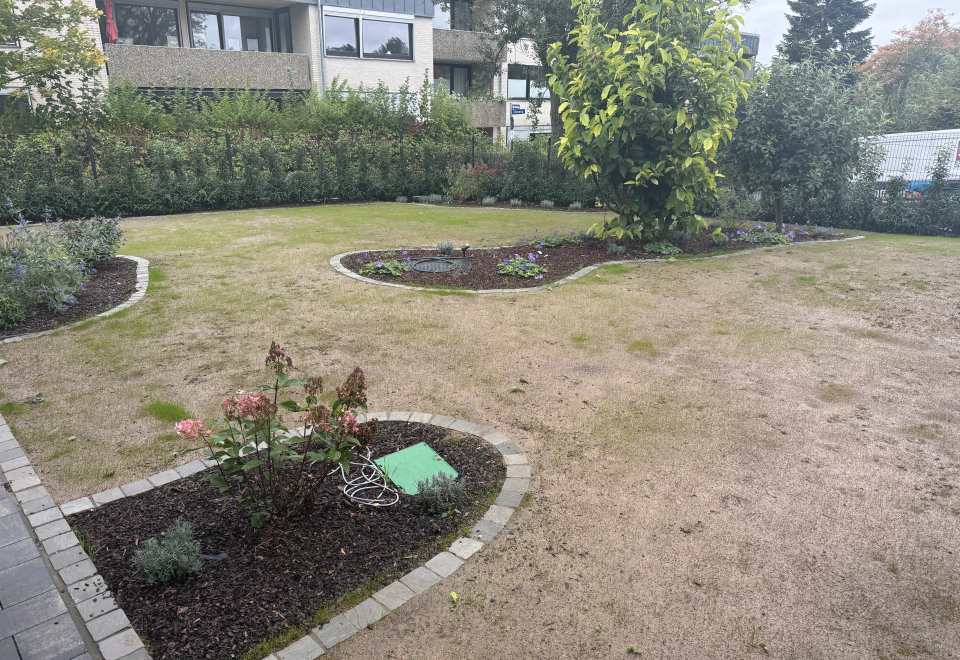 Gartenanlage mit Rasenfläche, geschwungen eingefassten Pflanzbeeten und jungen Gehölzen vor einem Wohngebäude