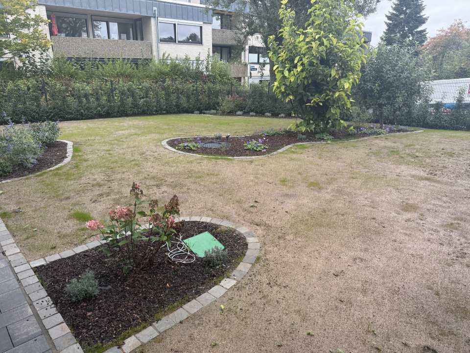 Gartenanlage mit Rasenfläche, geschwungen eingefassten Pflanzbeeten und jungen Gehölzen vor einem Wohngebäude