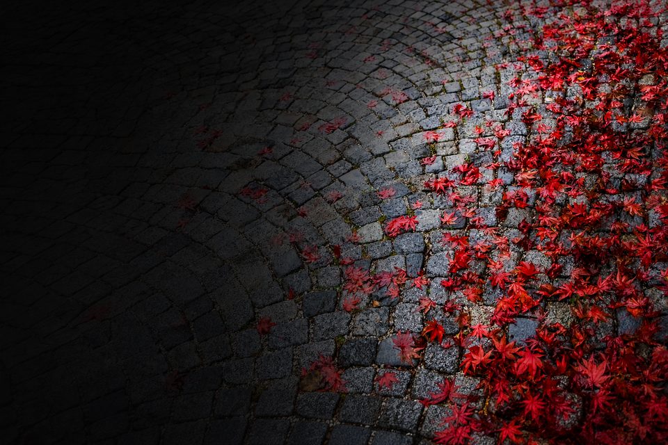 Dunkles nasses Natursteinpflaster mit zahlreichen roten Herbstblättern auf der rechten Bildseite und dunklem Verlauf links